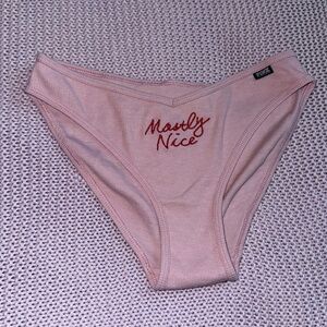 Pink Holiday embroidered naughty or nice cheekster PINK Victoria’s Secret pantie